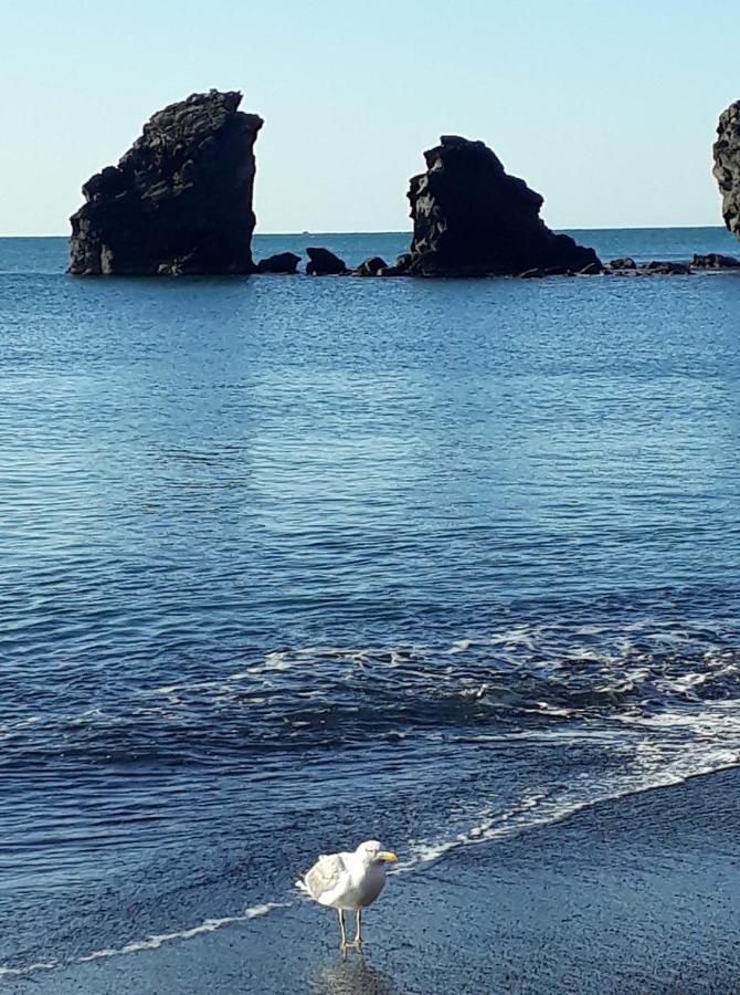 T2 Plage De La Conque Agde Εξωτερικό φωτογραφία